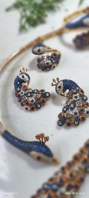 Conjunto Pavão